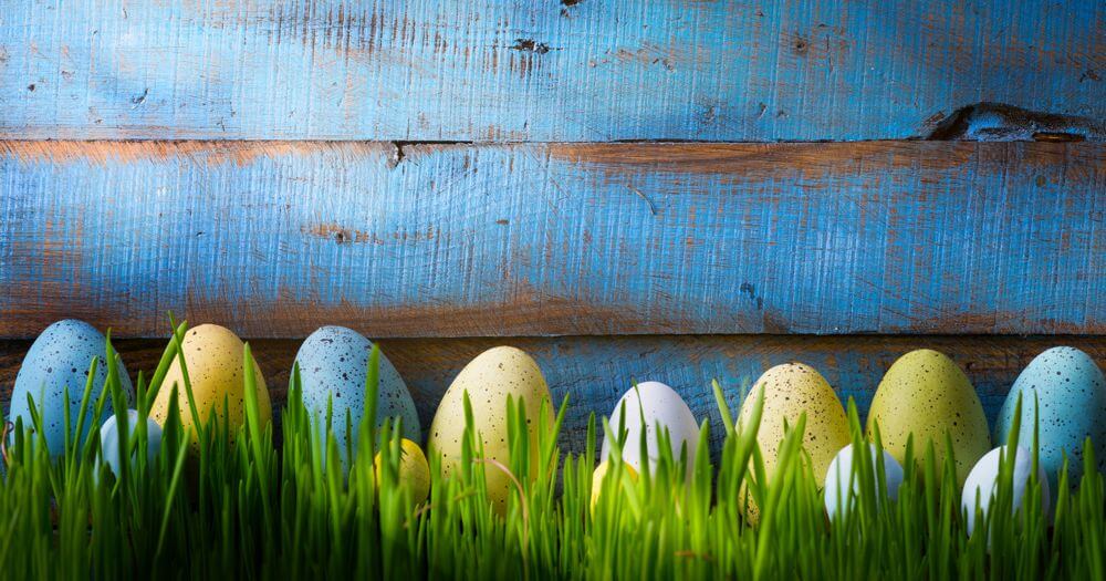 Happy Easter from HIPDesign